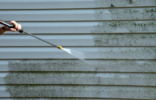 Best Gutter Cleaning  in De Smet, SD